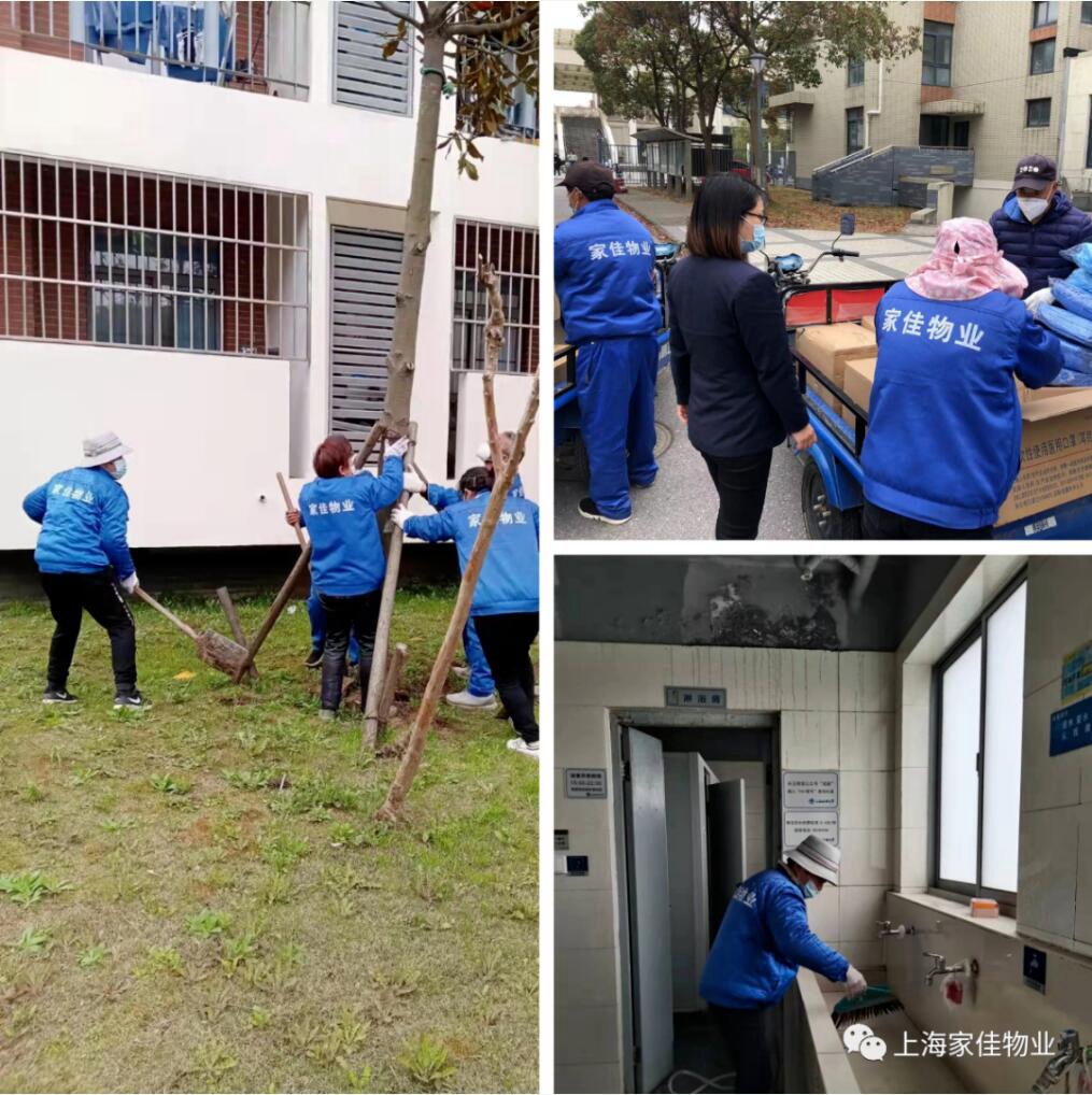 331135623.jpg 331135623.jpg